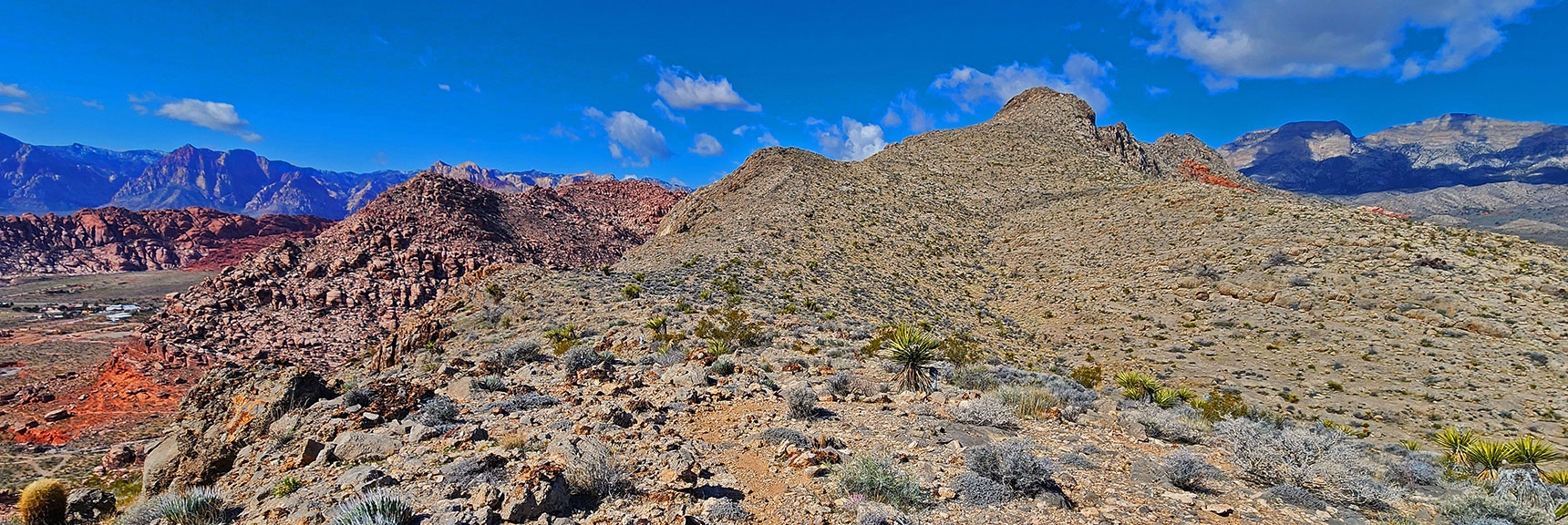 Calico Basin to the Left, Brownstone Basin to the Right, Southeast Summit Ahead! | Gray Cap Ridge Southeast Summit | La Madre Mountains Wilderness, Nevada