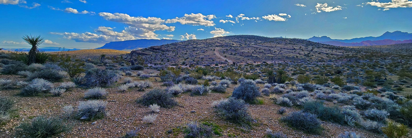 View Toward Peak 3844 Hill. Its Loop Trail is Visible. | Gray Cap Ridge Southeast Summit | La Madre Mountains Wilderness, Nevada
