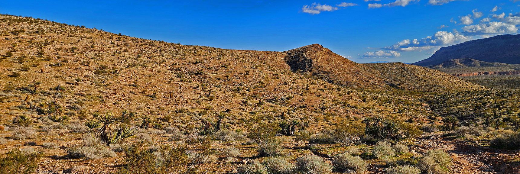 Round Peak 3844, Turn Left onto Gene's Trail. | Gray Cap Ridge Southeast Summit | La Madre Mountains Wilderness, Nevada