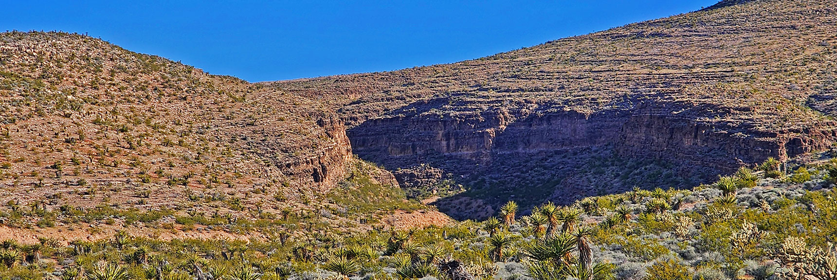 Shallow Wash Quickly Becomes Deep Canyon Just 1,000ft Distance Beyond Hwy 159! | Blue Diamond Hill Southern Ridgelines | Red Rock Canyon, Nevada