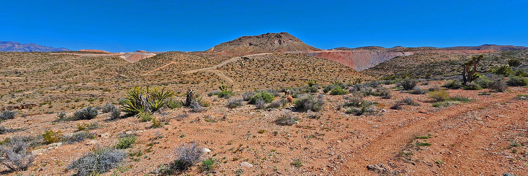 Arrival at Summit Area. Stumbled Upon Trails and Roads Now and Then. Mostly Wilderness. | Blue Diamond Hill Southern Ridgelines | Red Rock Canyon, Nevada