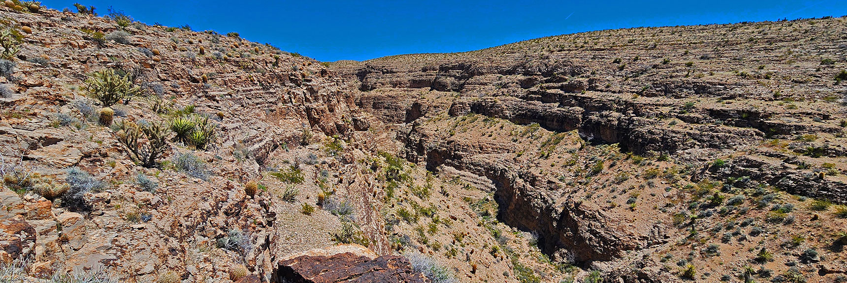 Final View Up This Massive Canyon. There May Be a Barrier in the Canyon Wash Below. | Blue Diamond Hill Southern Ridgelines | Red Rock Canyon, Nevada
