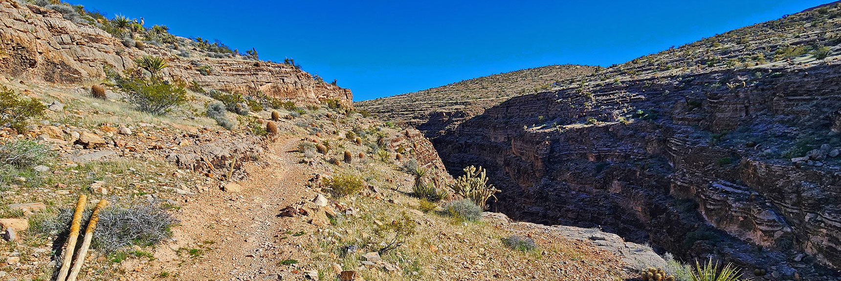 Wash Below Becomes a Deep Canyon! Ascend Left Toward Ridgeline Saddle. | Western High Ridge | Blue Diamond Hill, Nevada