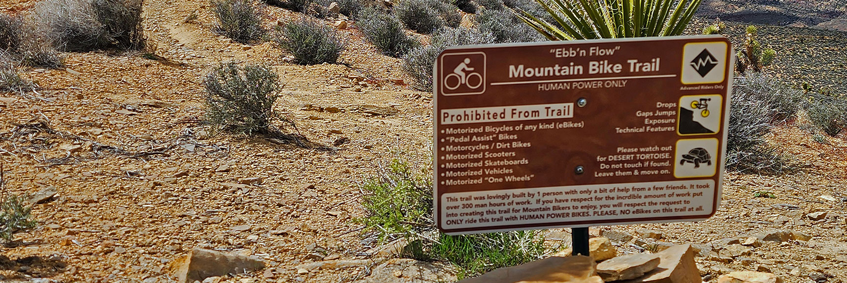 Origin of Awesome Hiking & Mountain Biking Trails Around Ridgeline. | Western High Ridge | Blue Diamond Hill, Nevada