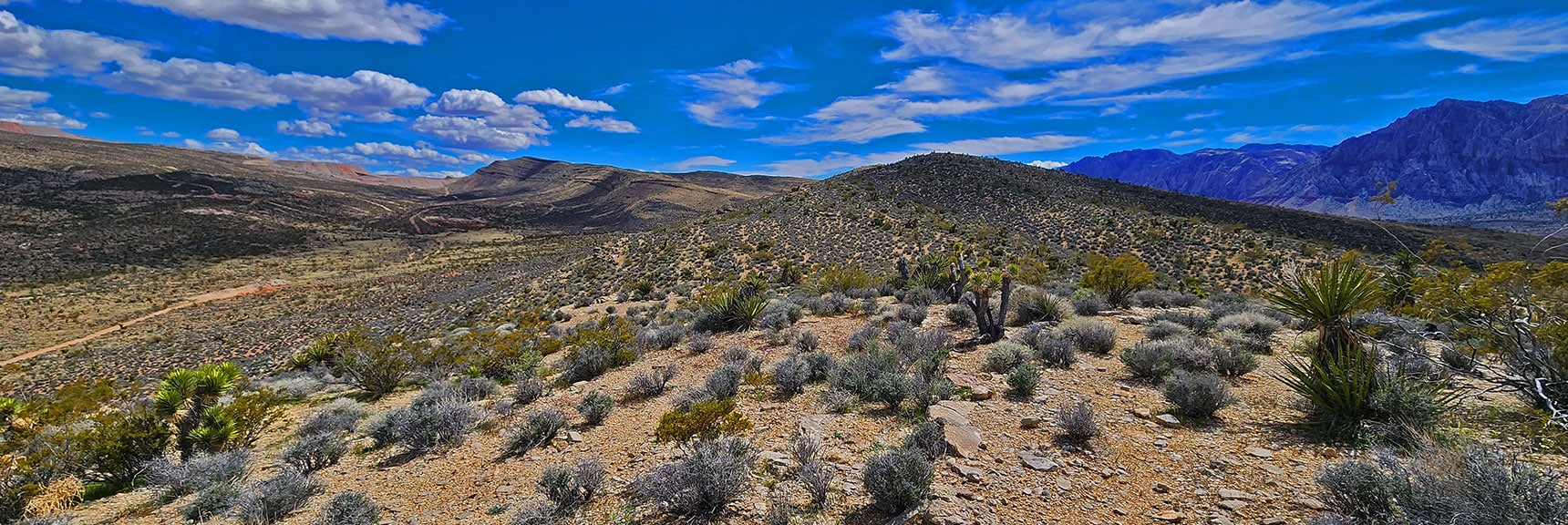 Further North on Ridgeline Looking South to Mid-Ridgeline High Point. | Western High Ridge | Blue Diamond Hill, Nevada