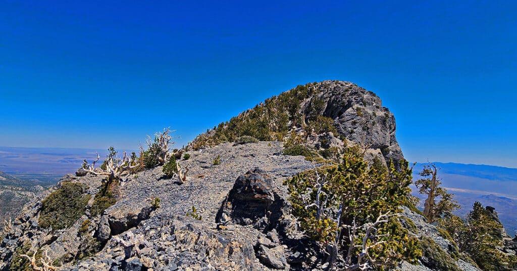 Mummy Mountain Nose from Lee Canyon Road | Spring Mountains | Mt. Charleston Wilderness, Nevada